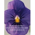 thumbnail image 3 of Perfume Victoria's Secret Bare Eau de Parfum, 7 ml, tamaño de viaje, 3 of 4