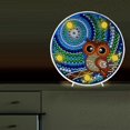 thumbnail image 1 of Cuadros Decorativos Bricolaje especial completo taladro diamante pintura pájaro LED lámpara de noche decoración del hogar (D), 1 of 7