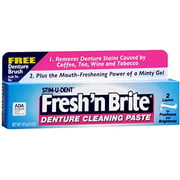 Fresh N Brite Denture Cleaning Paste, 3.80 Ounce (Pack of 4)
