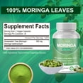 thumbnail image 3 of Moringa Capsules, Moringa Oleifera Leaf Powder Supplement, Natural Energy & Immune Support, Antioxidant Superfood, 7 Pack, 3 of 9