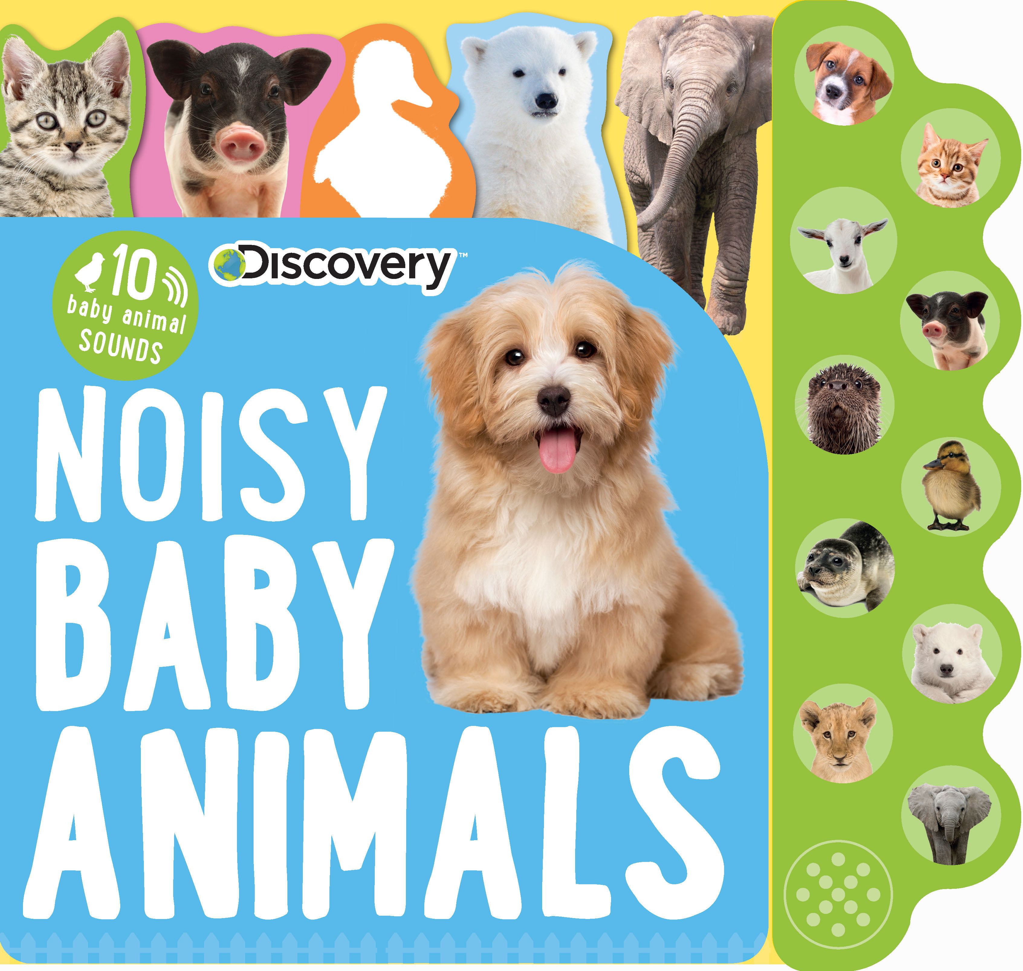 Discovery Noisy Baby Animals: 10 Baby Animal Sounds (Board Book) -  