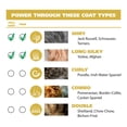 thumbnail image 2 of Kit de peluquería canina Wahl Easy Pro para mascotas modelo 9549, 2 of 9