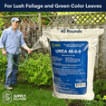 thumbnail image 3 of Supply Solutions Urea Nitrogen Organic Indoor Outdoor Lawn Fertilizer - Plant Food (40 Pounds), 3 of 10