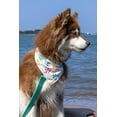 thumbnail image 2 of Sun & Shade Dog Bandana & Matching Keychain, 2 of 4