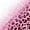 Leopard 14, variant on Erosebridal Hot Pink Leopard Heart Twin Quilt Set,Sweet Girl Loves Pattern Twin Coverlet Set,2 Pieces