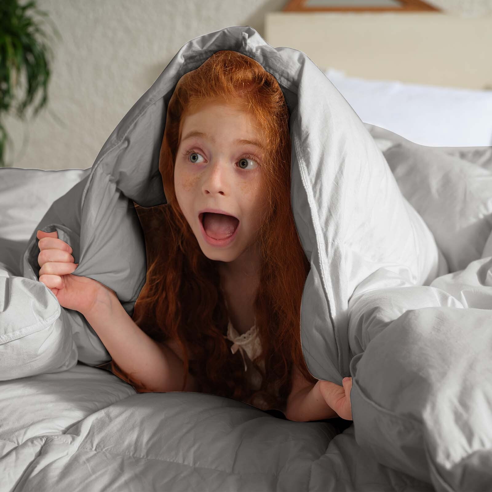 Teler Goose Down Comforter Queen Size, Extra Fluffy White Duvet Insert, Ultra-Soft, Breathable , All Season Hotel Luxury Bedding Comforters, 4 Corner & Center Loops , Light Gray