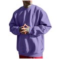 thumbnail image 1 of Chandail Décontracté pour Hommes, Manches Longues Col Rond avec Manches Contrastées, Style Sportif pour Courir et Se Détendre Violet TG, 1 of 4