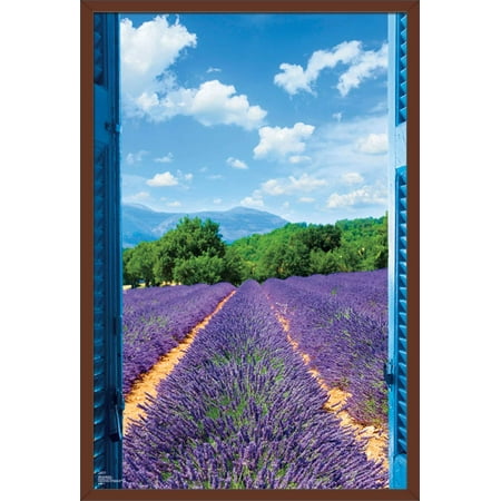 Lavender Field Wall Poster, 22.375" x 34", Framed