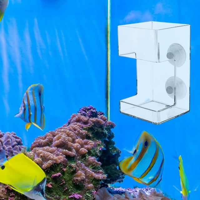 Suction Cup Fish Feeder Aquarium Floating Food Tray Feeding Station Tank Accessory With Secure Mount