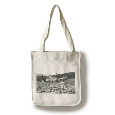 Fairbanks Imports Fairbanks, Alaska - Exterior View of the F.E. Co. Gold Dredge (100% Cotton Tote Bag - Reusable) ()