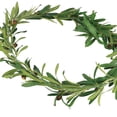 thumbnail image 4 of Simulation Olive Leaf Cane,Trim Foliage Rattan DIY Wreath Foliage Green Leaves Ribbon Decorative, 4 of 8
