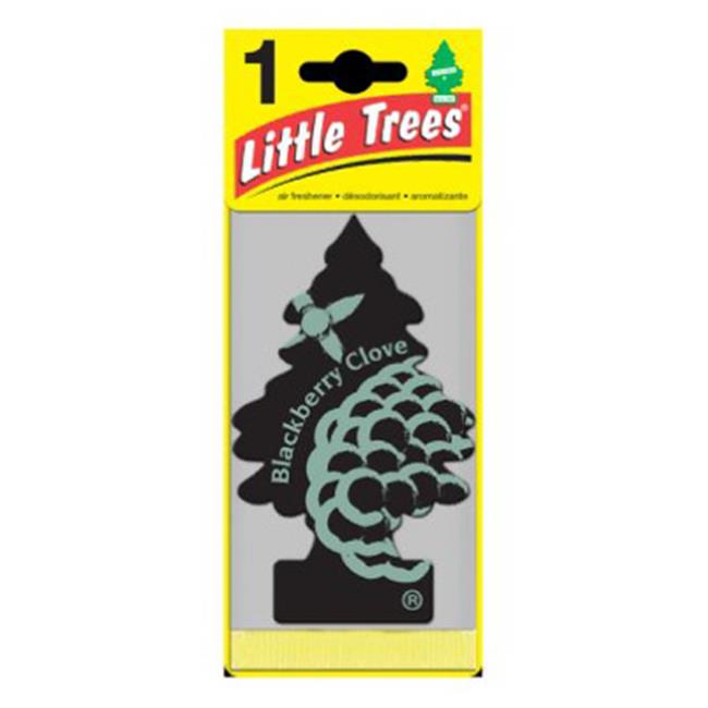 Car Freshner U1P17343 Blackberry Clove Air Freshener Sage Green
