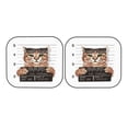 thumbnail image 7 of Balery 2 Piece Cat Holding Mugshot Sign Car Windshield Sun Shade|Foldable Front Windshield Shade for Car Front Window for Most Sedans SUV Truck-Small, 7 of 7