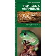 Pocket Naturalist Guides: Reptiles & Amphibians: An Introduction to Familiar North American Species (Other)