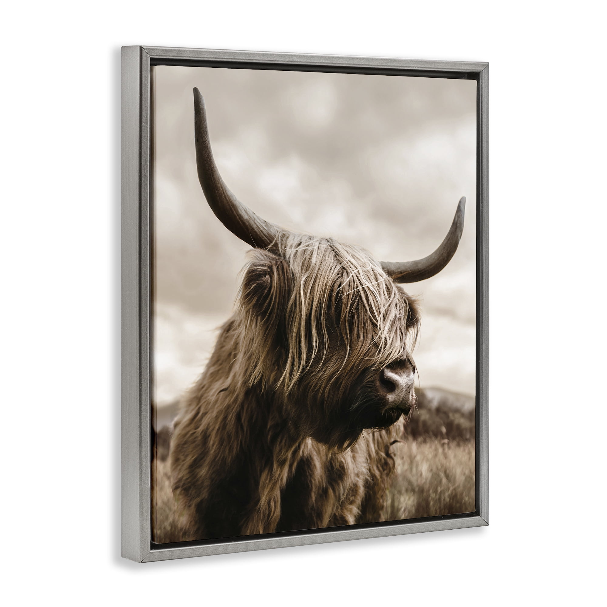 Stupell Industries Highland Cow on Windswept Moor Gray Framed Floater Canvas Wall Art, design by CAD Designs