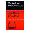 thumbnail image 4 of Le Livre de Daniel, 4 of 4