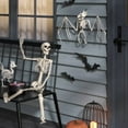 thumbnail image 3 of 36" Posable Skeleton Halloween Decorative Mannequin - Realistic, Movable Joints, 3 of 4