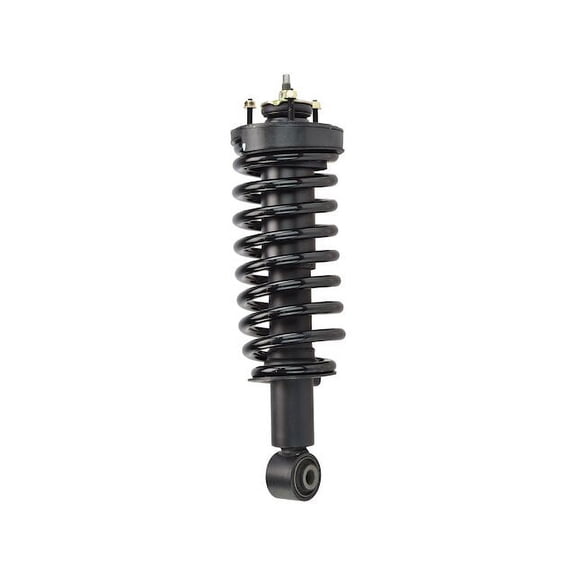 Strut and Coil Spring Assembly - Compatible with 2003 - 2011 Mercury Grand Marquis 2004 2005 2006 2007 2008 2009 2010