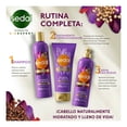 thumbnail image 4 of Crema para peinar Sedal hidratación y control caída quinoa y linaza 300 ml, 4 of 4