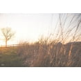 thumbnail image 2 of Quillen, Donnie 32x23 White Modern Wood Framed Museum Art Print Titled - Bright Sun Haze IV, 2 of 4