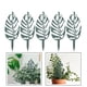 thumbnail image 5 of 5 soportes para plantas trepadoras, enrejados para jardín con forma encantadora., 5 of 8