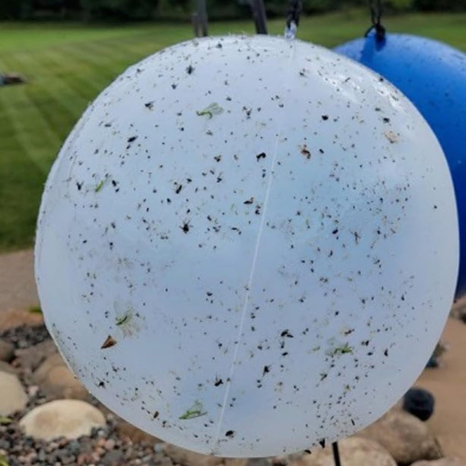 Bug Ball Mosquito Ball Starter Kit - Biting Fly and Insect Trap, Pack of 3