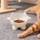 thumbnail image 5 of Ireezec Elevated Cat Food and Water Bowl, Anti-Vomit Slow Feeder, Tilted Design for Neck Support, Whisker Friendly Wide Shallow Dish, Non-Slip Ba, Large Capacity Pet Feeding Station, 5 of 6