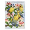thumbnail image 1 of Bandera de lona Caroline's Treasures ASA2081CHF Eurasia Blue Tits en la hora de la alimentación multicolor grande, 1 of 1