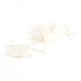 thumbnail image 2 of Weddingstar 12 x Organza Drawstring Favour Bags With Bow - Ivory, 2 of 2