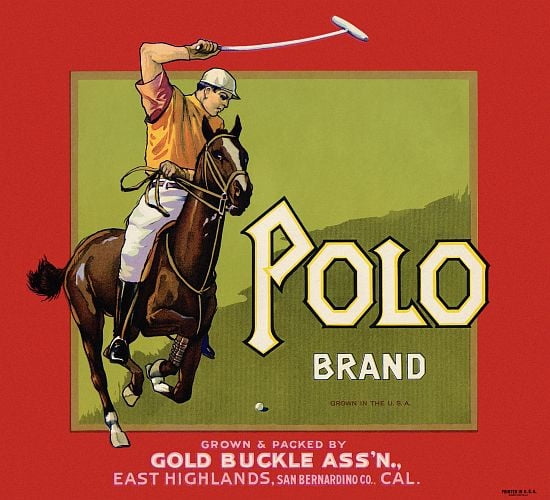 Man On Horse Playin