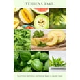 thumbnail image 4 of Eco Candle Co. Room & Linen Spray, Verbena Basil, 8 oz. - Scents Of Lemons, Verbena, Basil, & Cedar - Recycled Aluminum Bottle, No Propellents, Pump Top, All Natural Ingredients, 4 of 4
