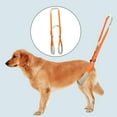 thumbnail image 2 of Arnés de elevación para perros portátil Mascotas Respirable Útil Soporte trasero para movilidad de mascotas Perros mayores lesionados Zulema Eslinga de elevación para mascotas, 2 of 8