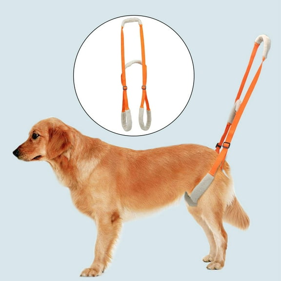 Portable Dog Lift Harness, Pets , Helpful Breathable Rear Support, for Pet Mobility, Weak Legs, Injured Small Large Dogs Easy to Adjust