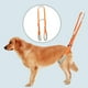 thumbnail image 2 of Arnés portátil jinwen para levantar perros ajustable transpirable soporte trasero para la cadera, 2 of 8