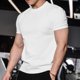 thumbnail image 1 of Ceisia Men's Slim Fit Crew Neck Short Sleeve T-Shirt High Stretch German Velvet Athletic Top White XXL Gifts, 1 of 9