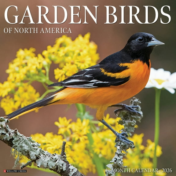 Garden Birds 2026 Wall Calendar, (Paperback)