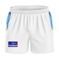 thumbnail image 1 of 2024 BLUES Home Rugby JERSEY SHORTS size S--5XL, 1 of 7