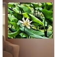 thumbnail image 2 of Wallhogs Batie Pond Flower Poster Wall Mural, 2 of 2