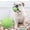 Green, variant on Byujiro Dog Ball for Puppy Teething Interactive Fetch & Chew Toys, Bouncy Bite-Resistant Play Balls for Small to Medium Dogs Indoor Outdoor Training & Entertainment