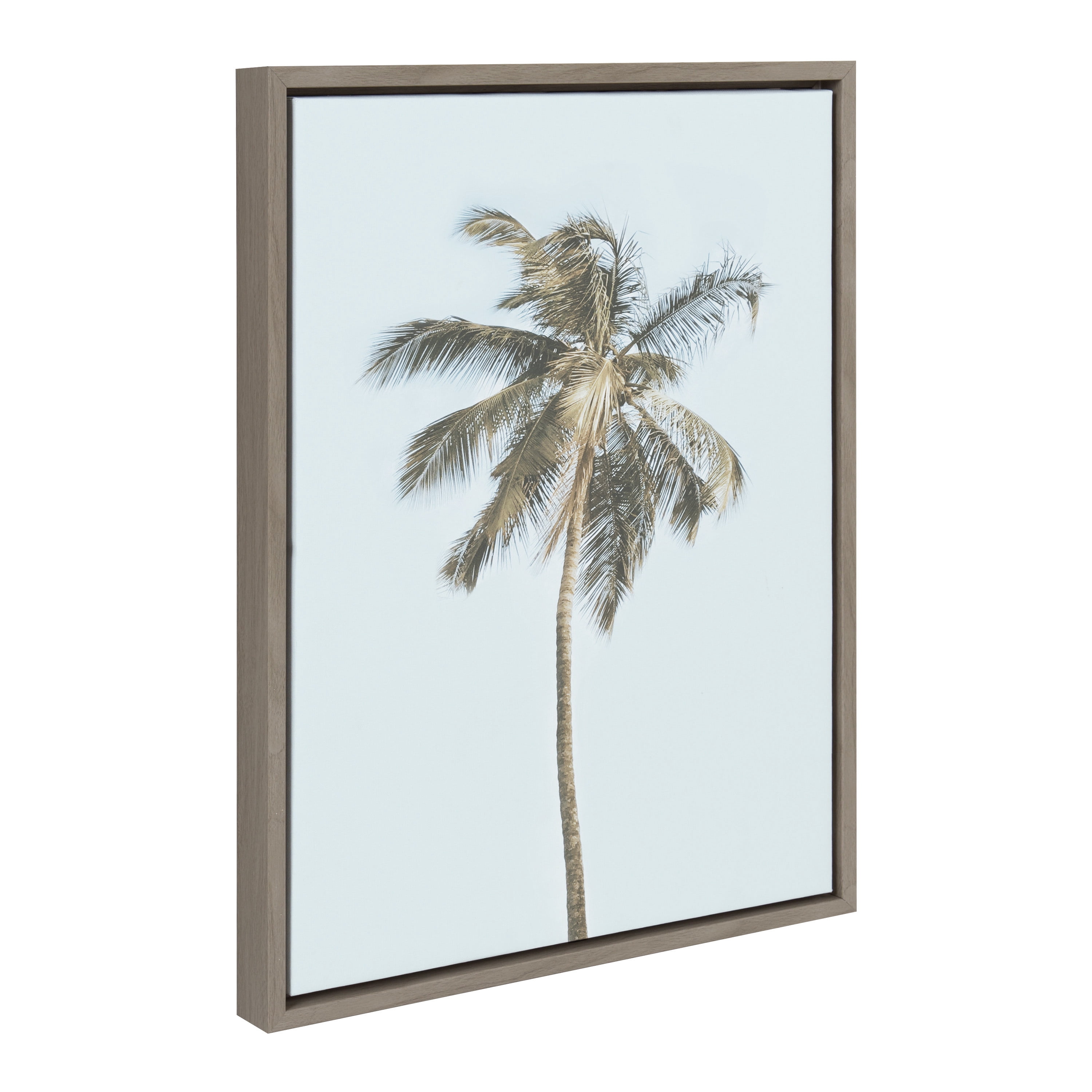 Kate and Laurel Sylvie One Coconut Palm Tree Framed Canvas Wall Art by the Creative Bunch Studio 18x24 Gray Coastal Beach Art for Wall