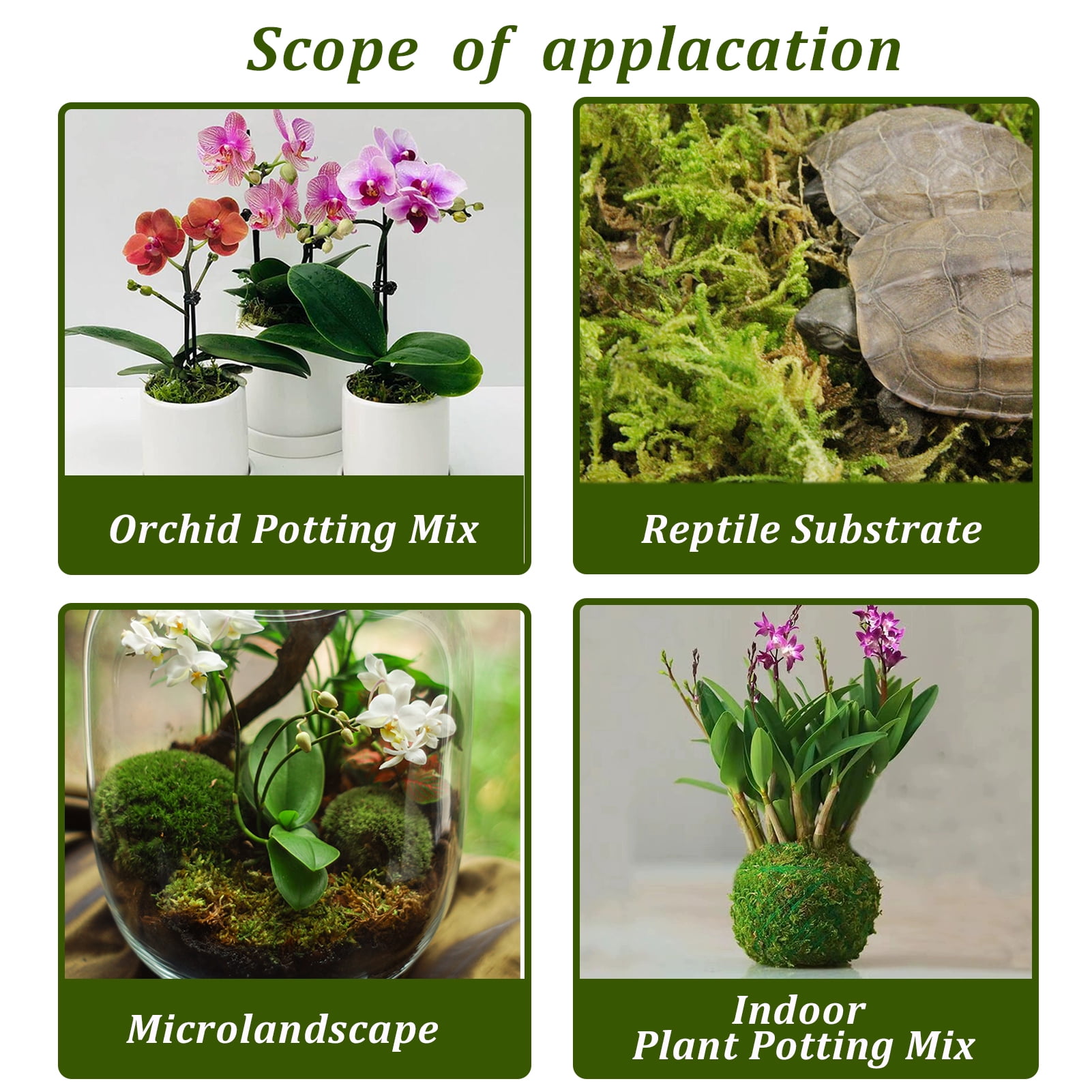 Natural Forest Moss for Plants and Reptiles Dried Green Sphagnum Moss Potting Mix for Orchid Plants Succulent Reptiles