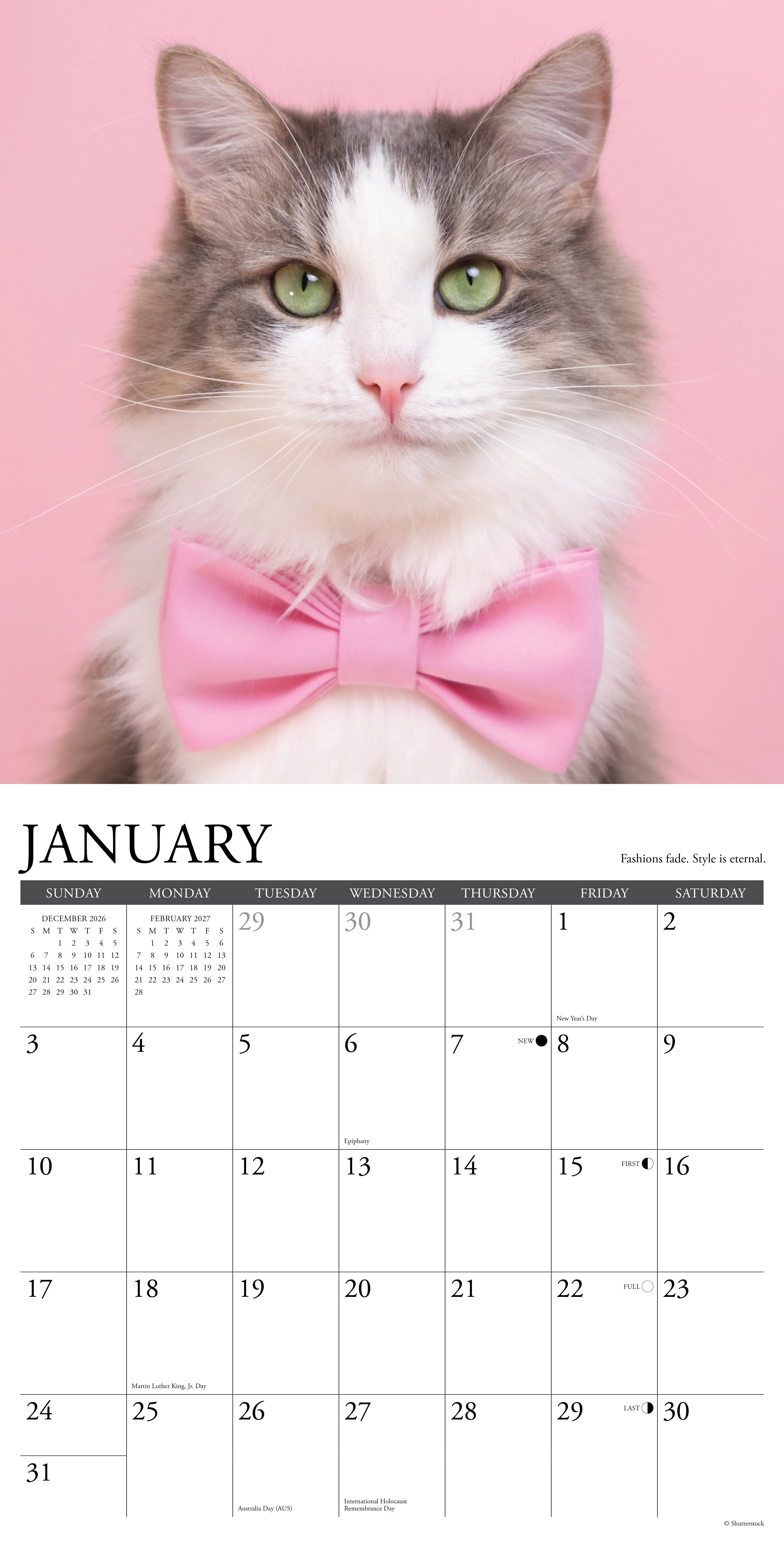 Willow Creek Press, What Cats Teach Us 2027 Wall Calendar