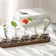 thumbnail image 3 of 2X EstacióN de PropagacióN de Terrario de Plantas, Florero de Vidrio con Bandeja de Madera, Floreros Modernos para Sala de Estar y Oficina, 3 of 4