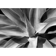 thumbnail image 2 of Schull, Harald 14x11 White Modern Wood Framed Museum Art Print Titled - The Cone, 2 of 4