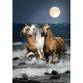 thumbnail image 1 of Taladro Pintura Diamante (DF3783) 5D DIY Caballo Completo Punto de Cruz Kit de Mosaico (w1451) 40x50cm Hugtrwg Para estrenar, 1 of 1