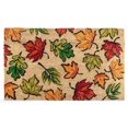 thumbnail image 1 of Coir Paillasson (Feuillage D'Automne), 1 of 1