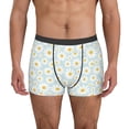 thumbnail image 2 of Bingfone Daisies Flowers Men's Underwear - Casual Stretch Boxer Briefs-XX-Large, 2 of 7