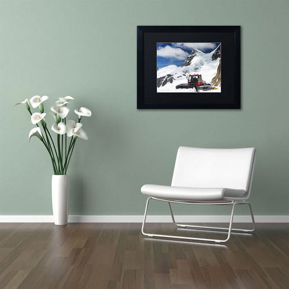 Trademark Fine Art "Top of Switzerland" Canvas Art by Philippe Sainte-Laudy, Black Matte, Black Frame