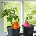 thumbnail image 1 of 4x estacas para riego de plantas, 100ml, bebedero decorativo multifuncional para plantas, gotero automático para vacaciones en interiores y exteriores, 1 of 8