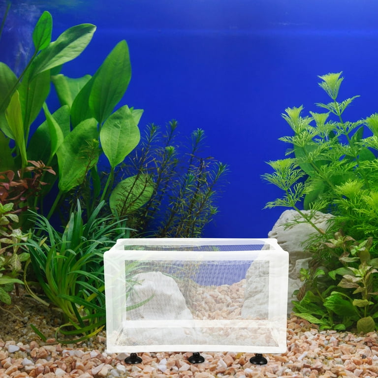 8 Pcs Fish Tank Isolation Box Fish Tank Accessories Aquarium Accessory Fish Tank Supply Aquariums Aquarium Supply Baby